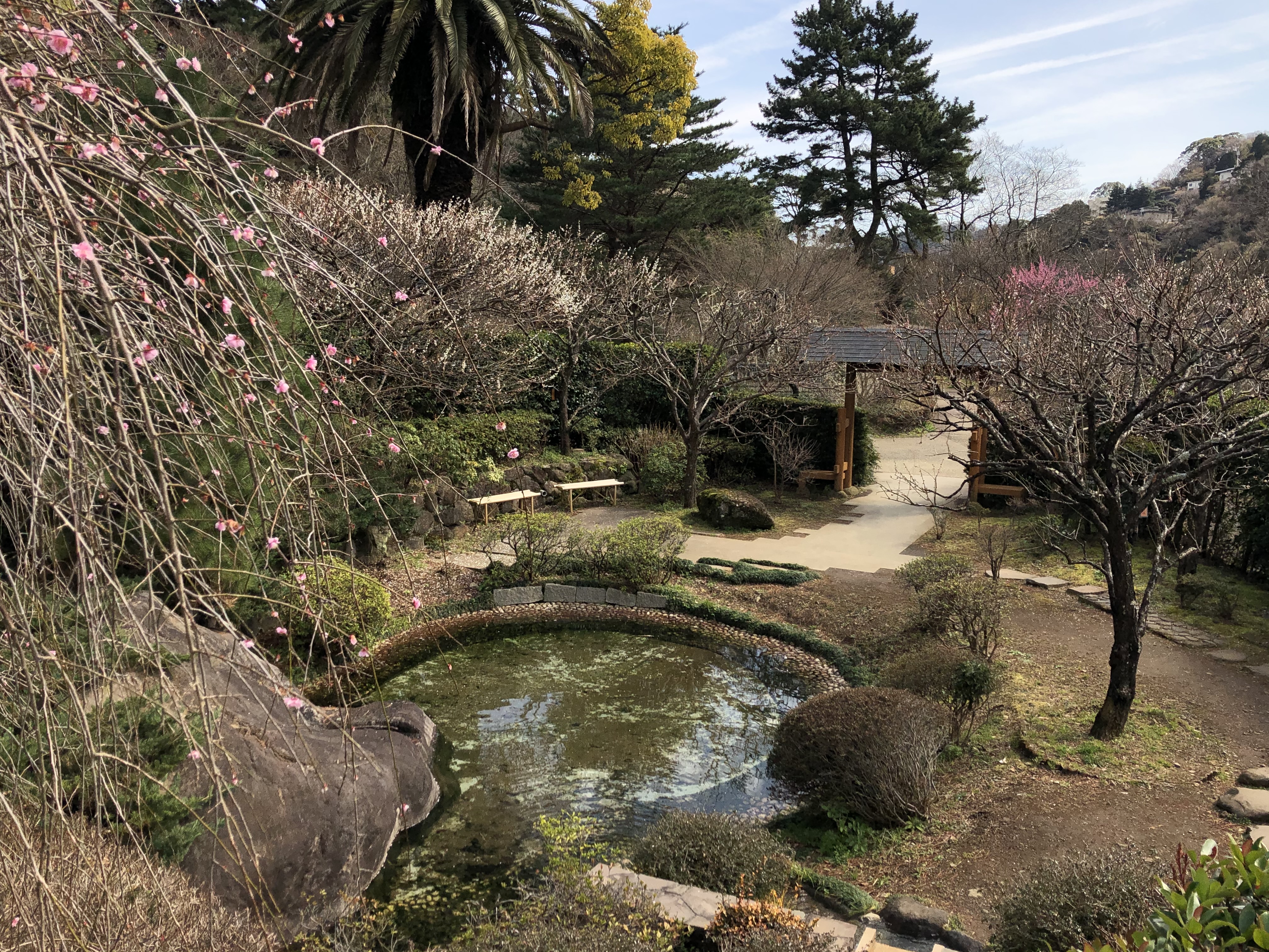 ドリームアート岩波英知合宿セミナー写真